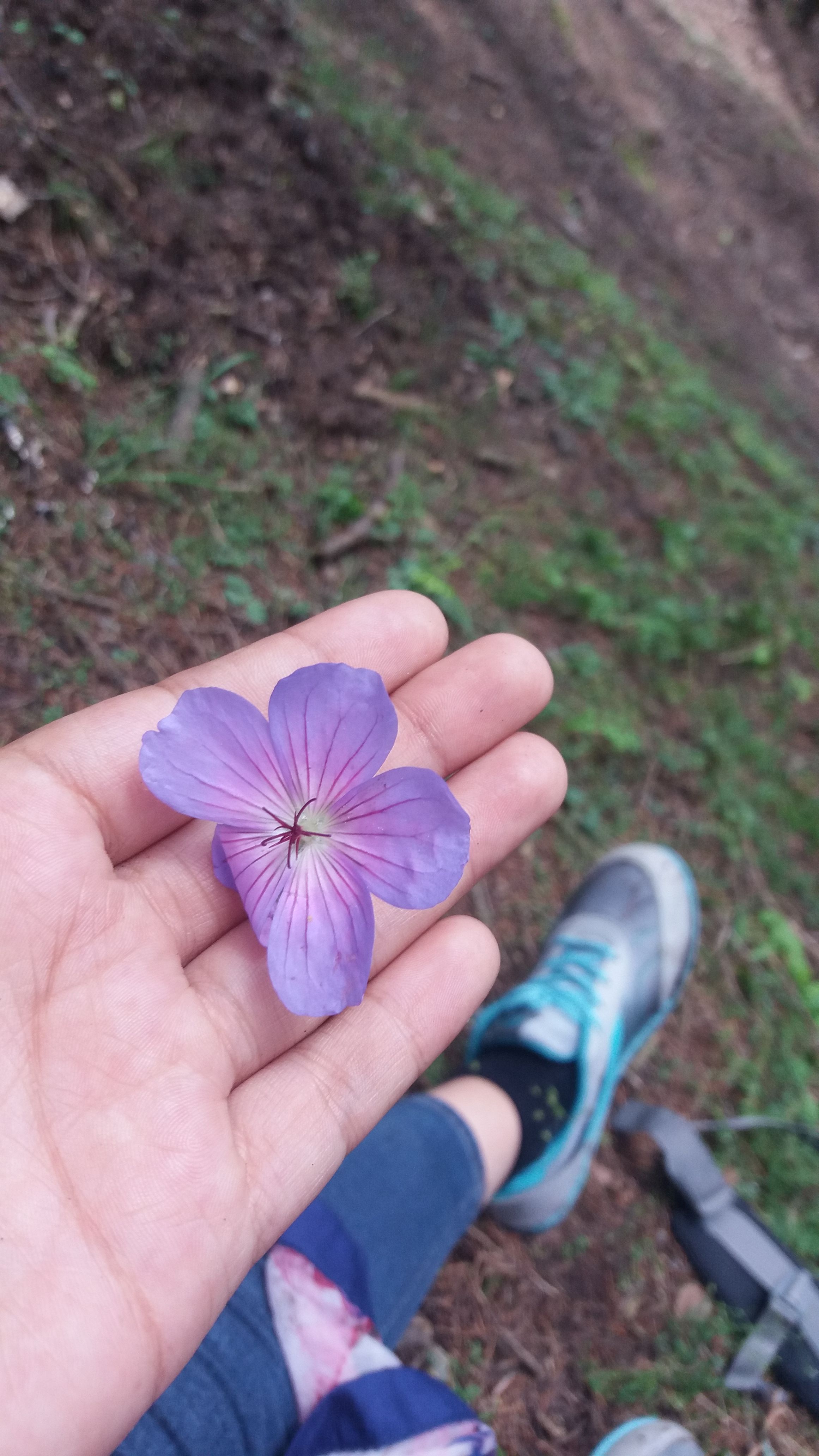 20170808_133751.jpg